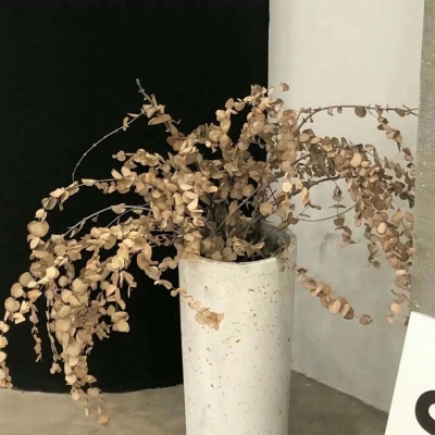 龙口FurryQQ群介绍